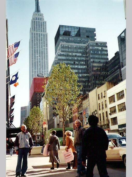 19901104_NewYork