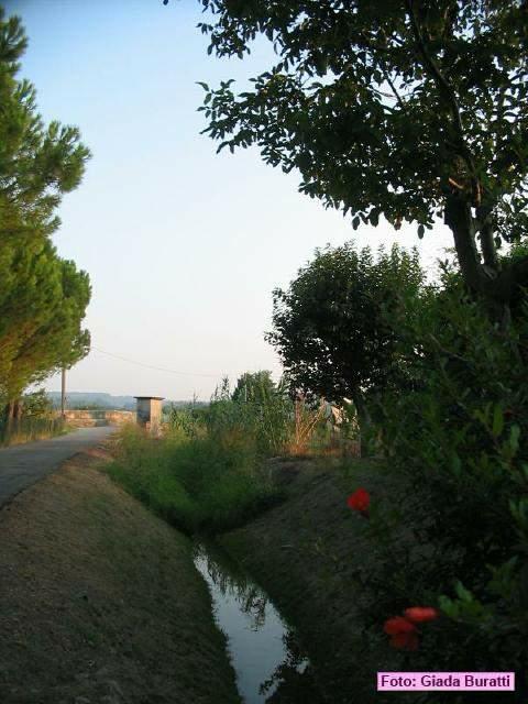 castelbolognese_2006_008