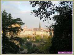 firenze_b035