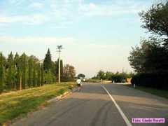 imola_037