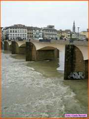 Firenze08_493