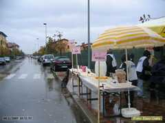 IMG_0258