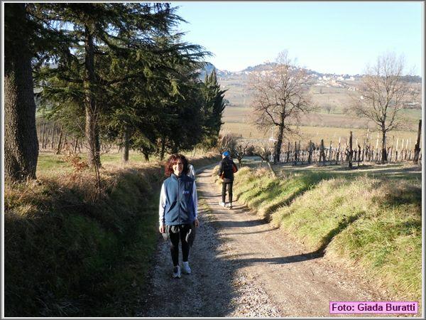 Bertinoro11_015