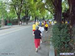 imolamerc_021
