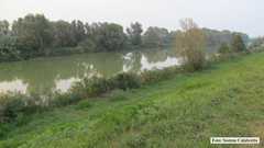 IMG_0744